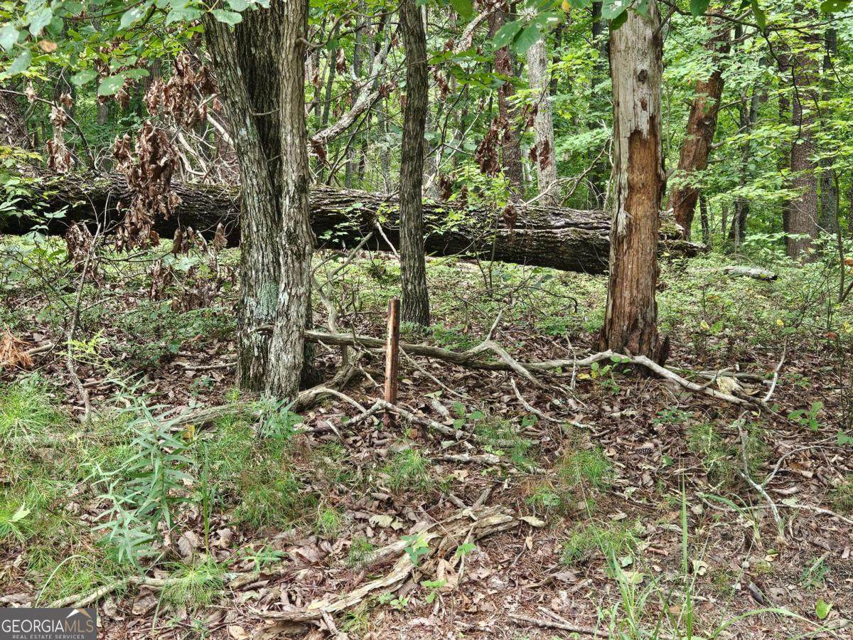 https://bt-photos.global.ssl.fastly.net/gamls/1280_boomver_1_10822938-2.jpg