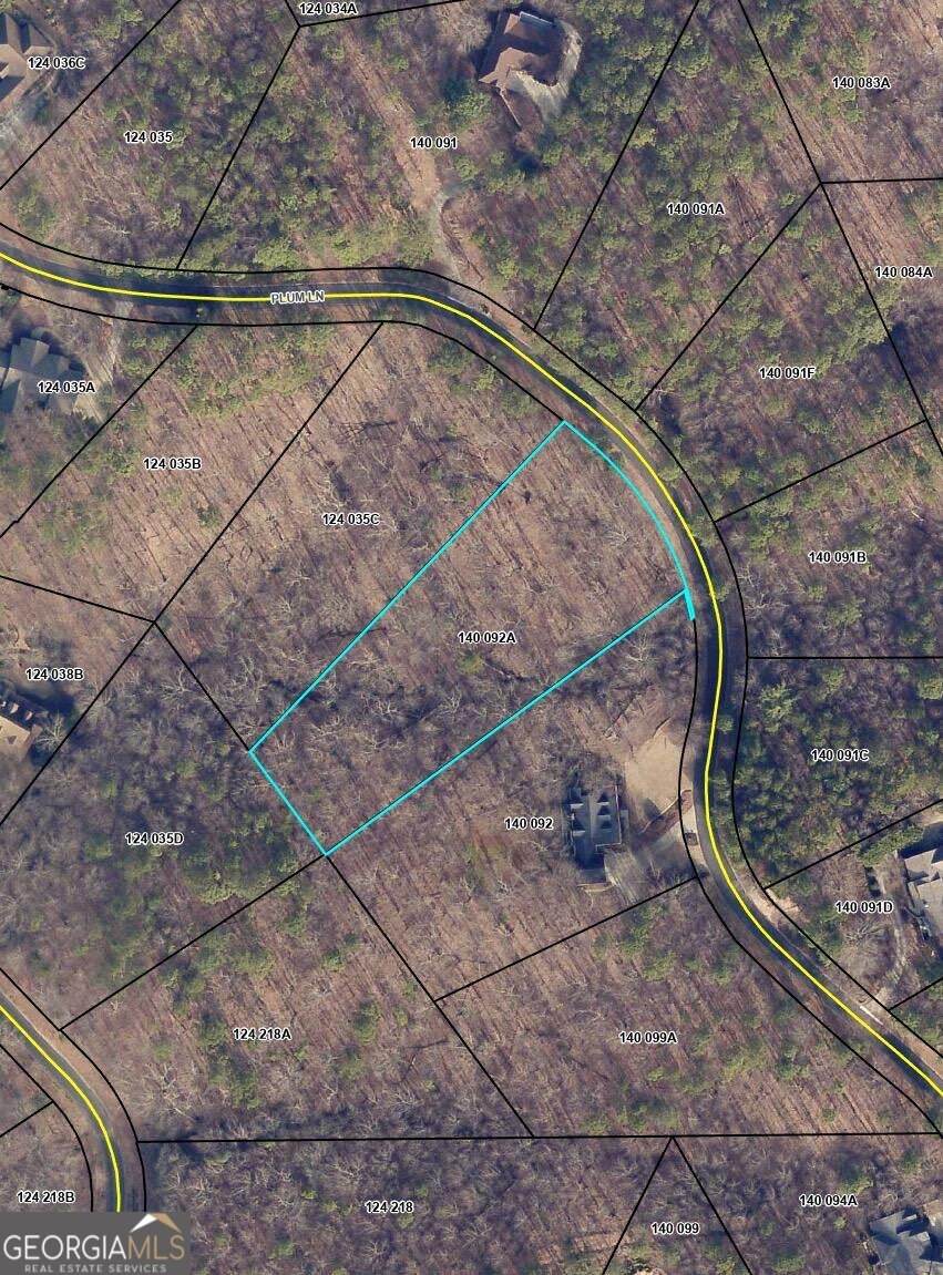 736 Plum Lane - Photo 1
