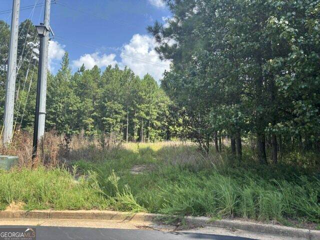 3030 Wood Valley Court - Photo 1