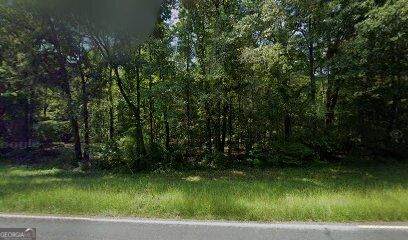 165 Log Cabin Road - Photo 1