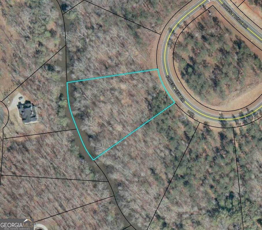 109 Forest View Circle - Photo 1