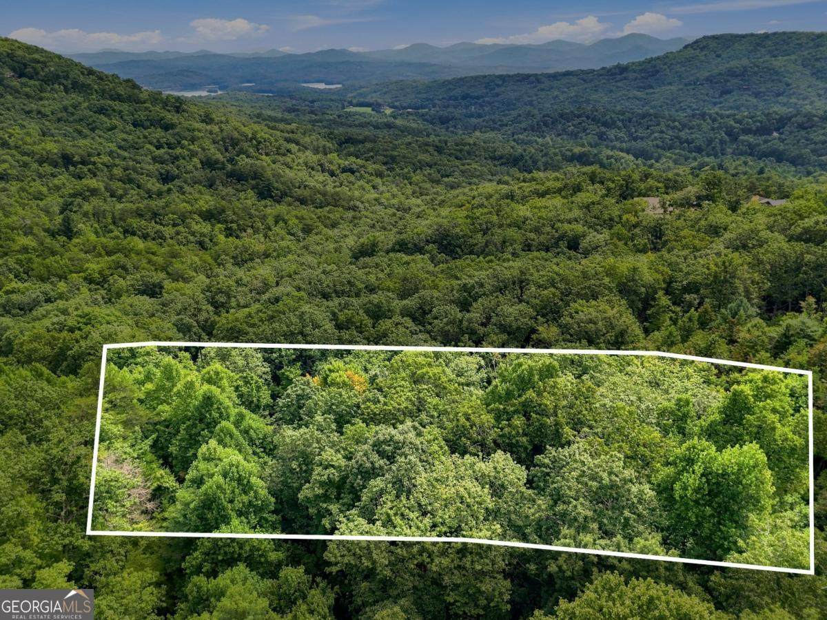 LT 27 Deer Crest Road - Photo 1