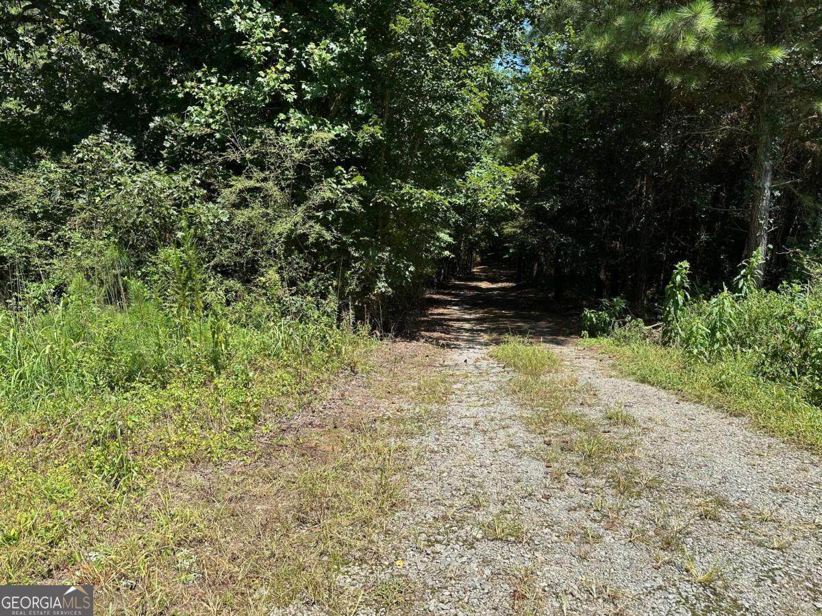 305 Wildcat Road - Photo 1