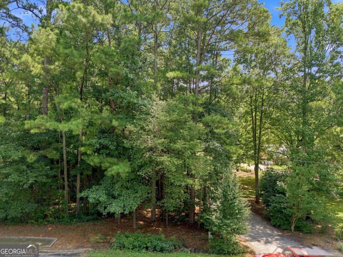 13405 Cogburn Road - Photo 1