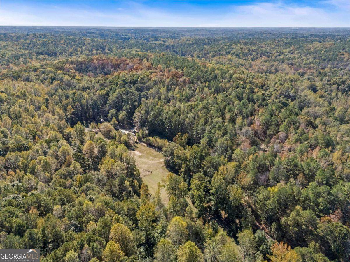 7790 Atlanta Newnan Road - Photo 1