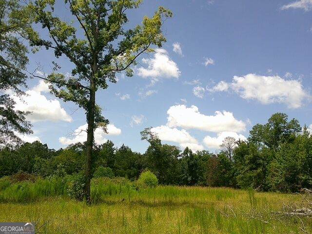 0 Highway 221 - Photo 1