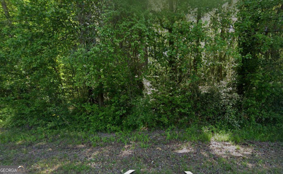 1374 Zebulon Road - Photo 1