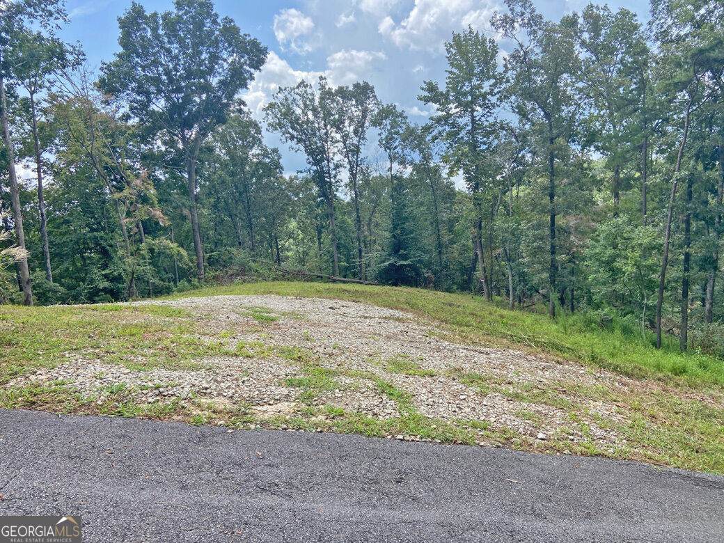 3.3AC Trillium Trail - Photo 1
