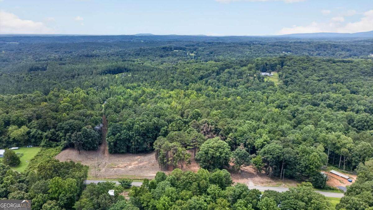792 Lower Dowda Mill Road - Photo 1