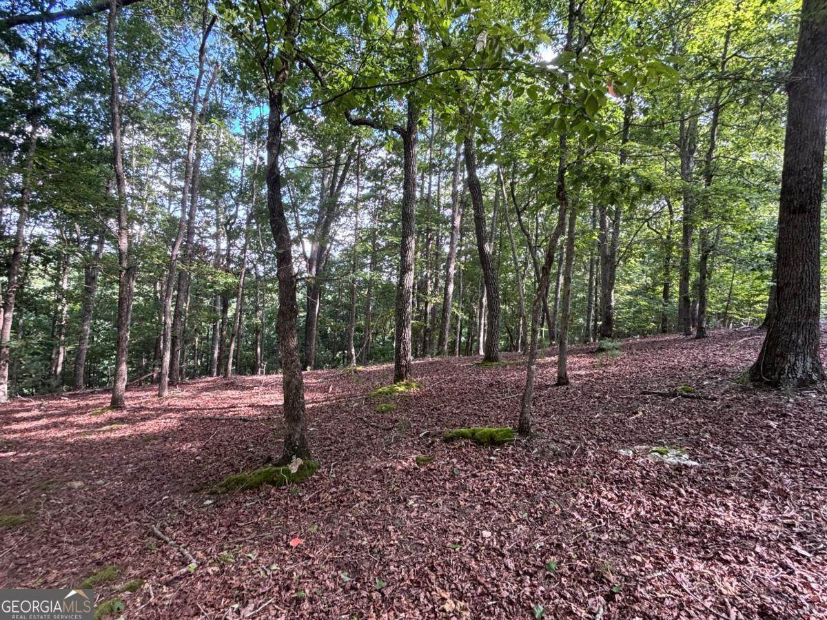 LOT 5 Westwood Avenue - Photo 1