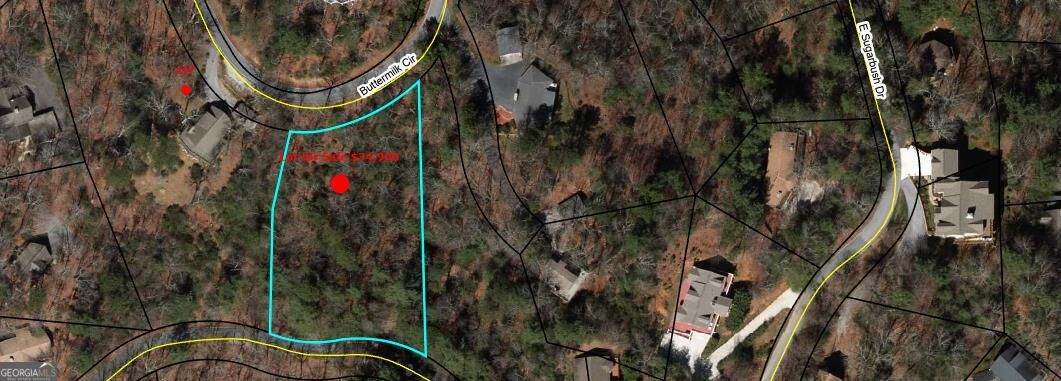 0 LOT 29 Buttermilk Circle - Photo 1