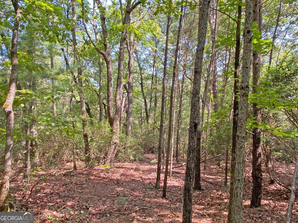 10.59AC T S Jarrard Road - Photo 1
