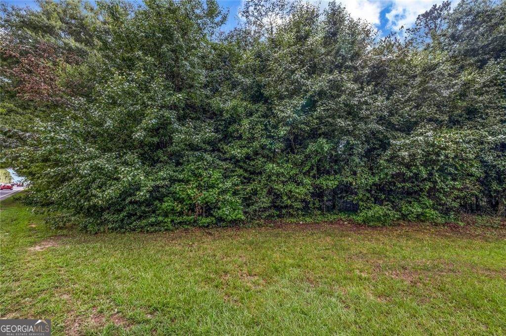 6845 Old National Highway - Photo 1