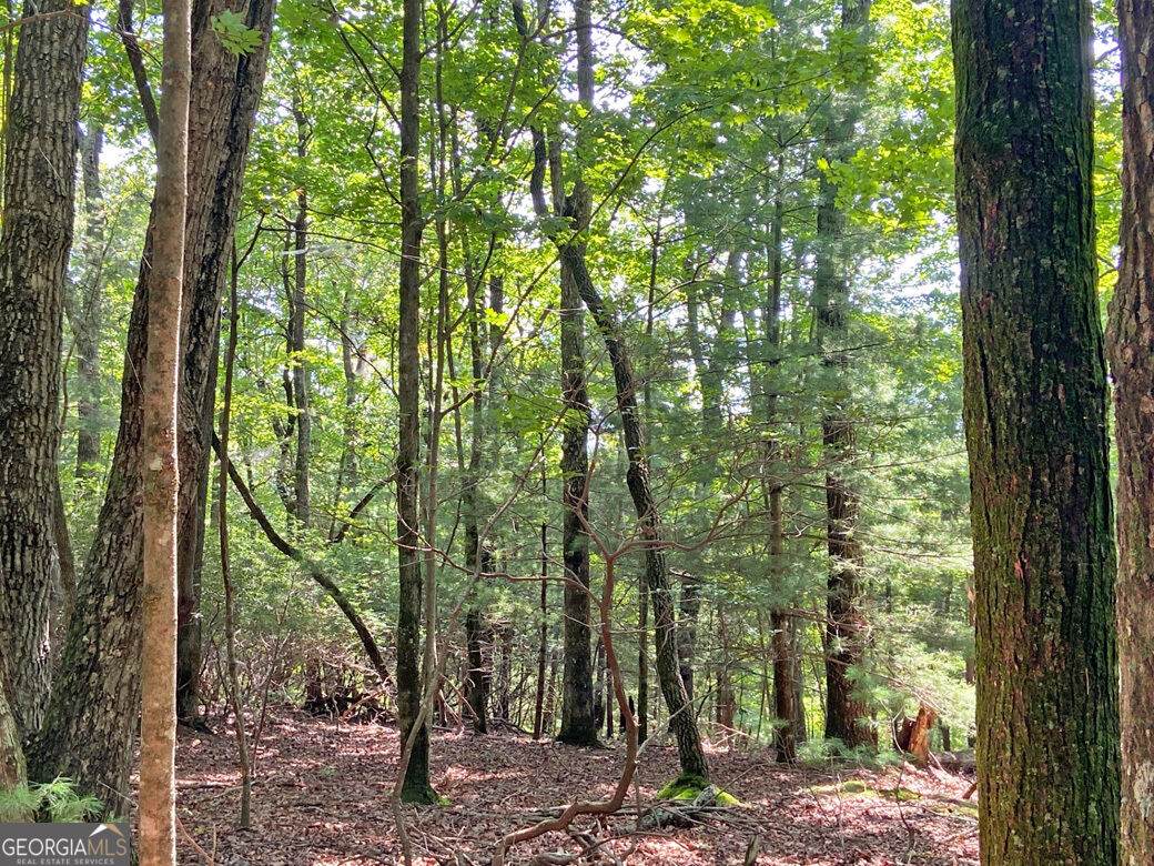 11AC T S Jarrard Road - Photo 1