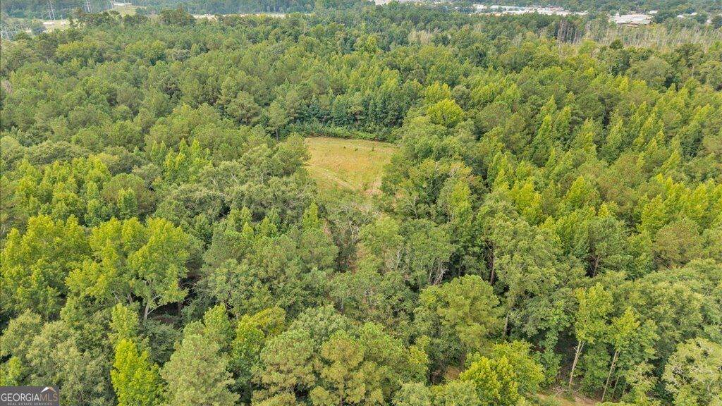 1789 Lumpkin Road - Photo 1