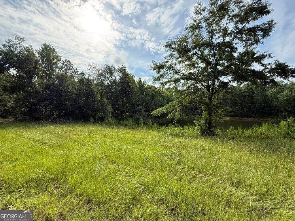 1940 Liberty Church Road - Photo 1