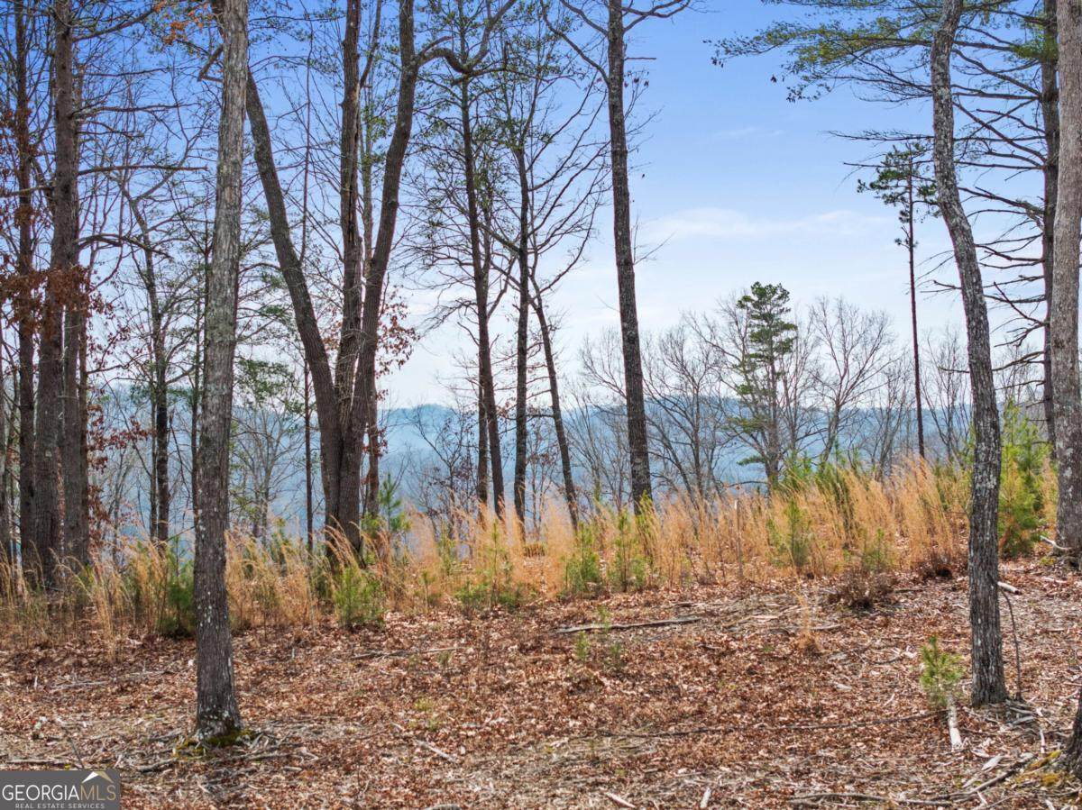 LOT 162 Ridge Drive - Photo 1
