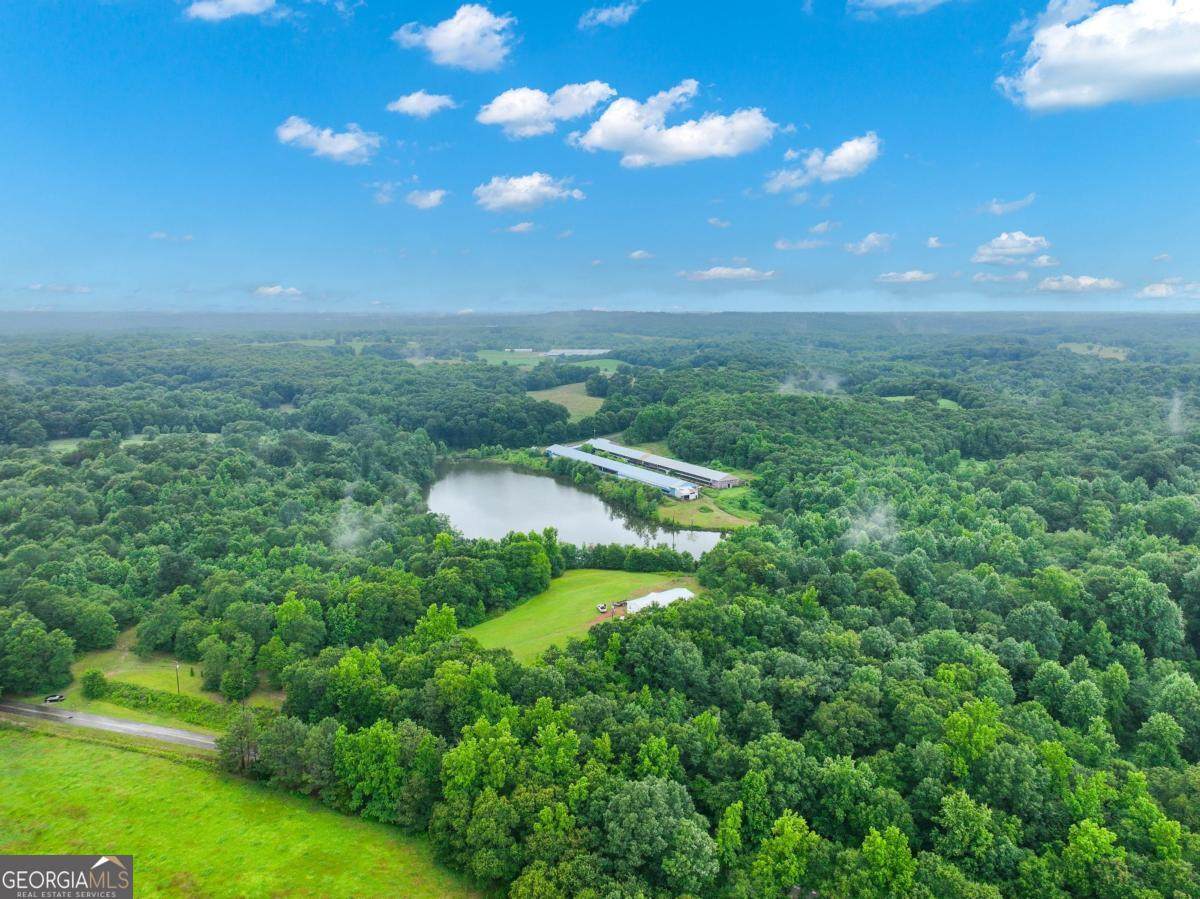 397 Reed Brawner Road - Photo 1