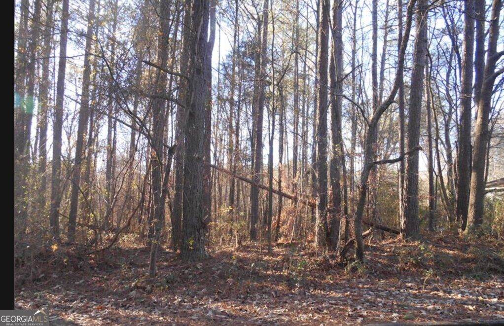 0 Bartlett Circle - Photo 1