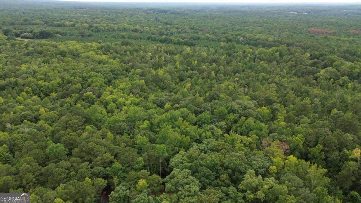 0 Roosevelt Hwy - 20.58 Acres - Photo 1