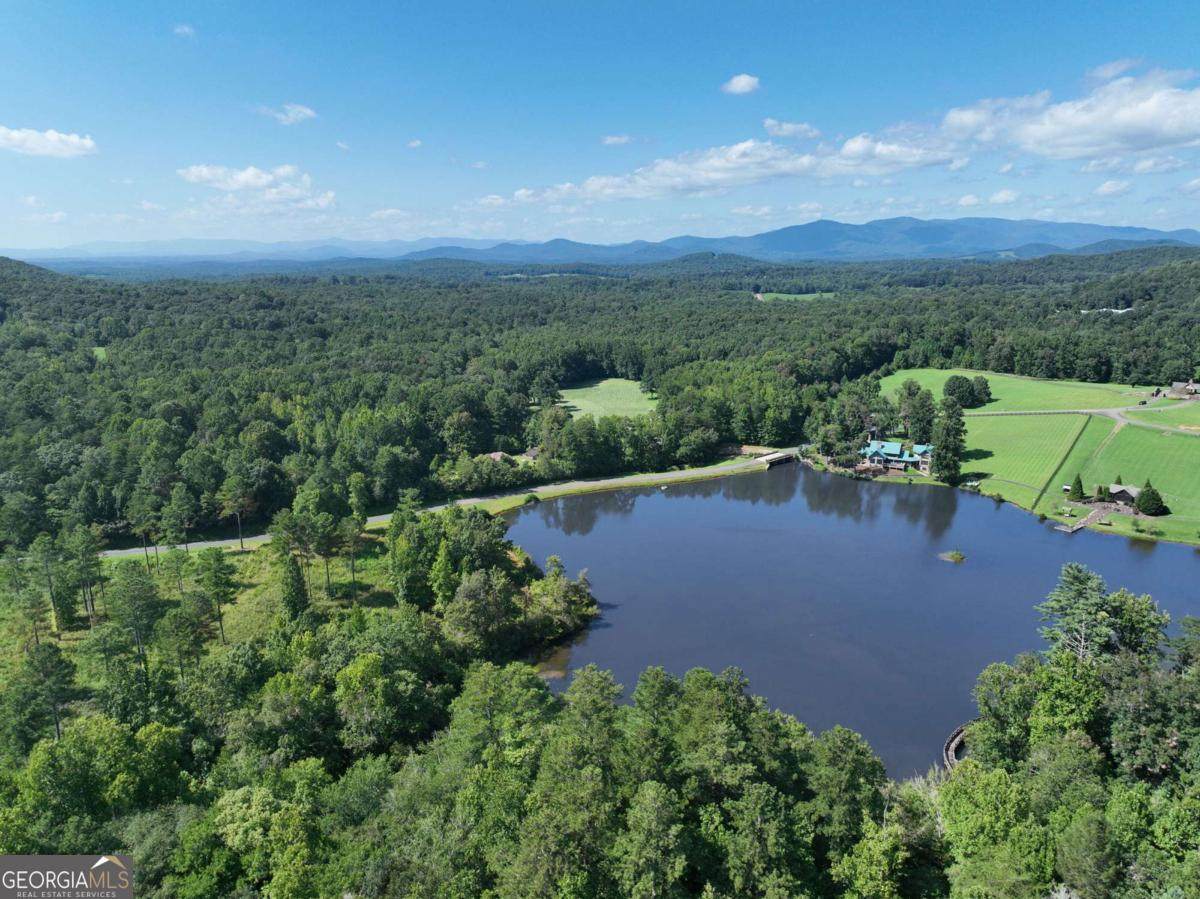 142R Autumn Fern Lane - Photo 1