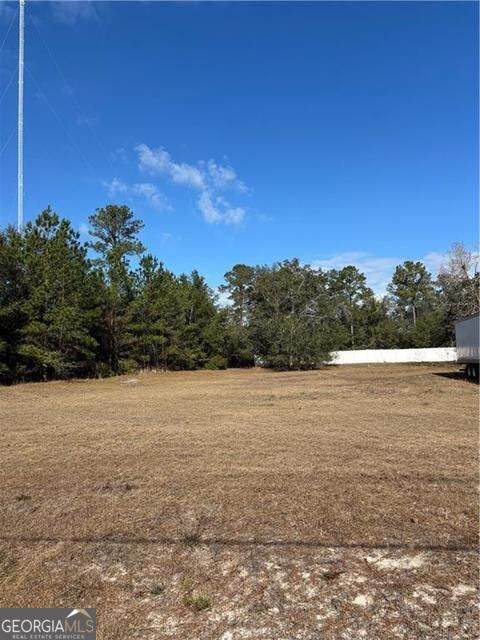 0 Shellman Bluff Road - Photo 1
