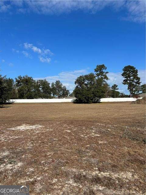 6911 Shellman Bluff Road - Photo 1
