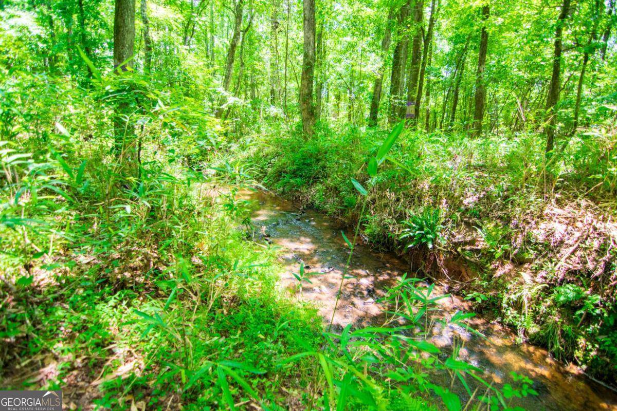0 White Road - Photo 1