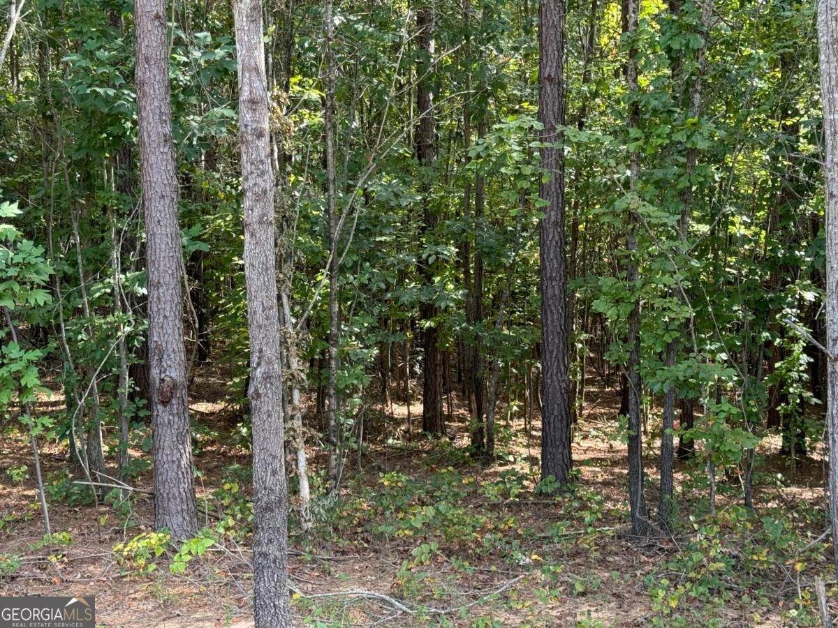 0 Lone Bear Path - Photo 1