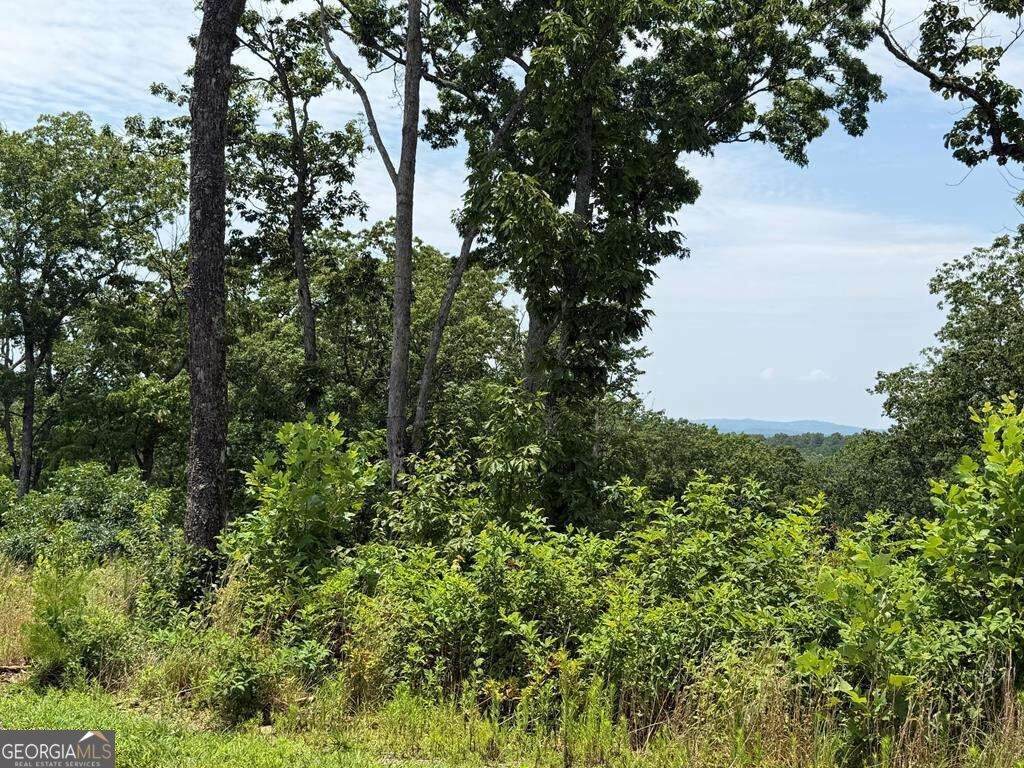 LOT 93 Timberline Trail - Photo 1