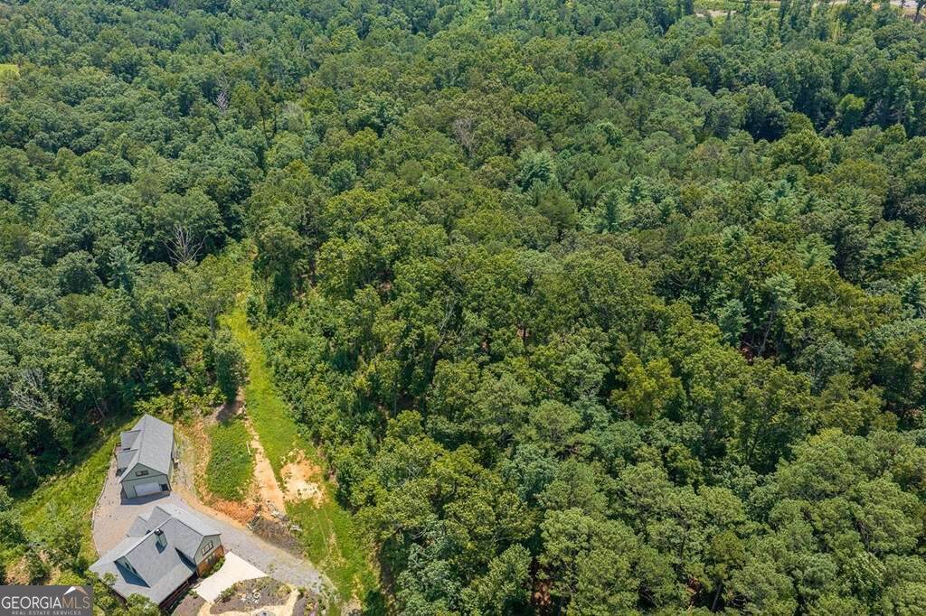 LOT 166 Pinnacle Drive - Photo 1