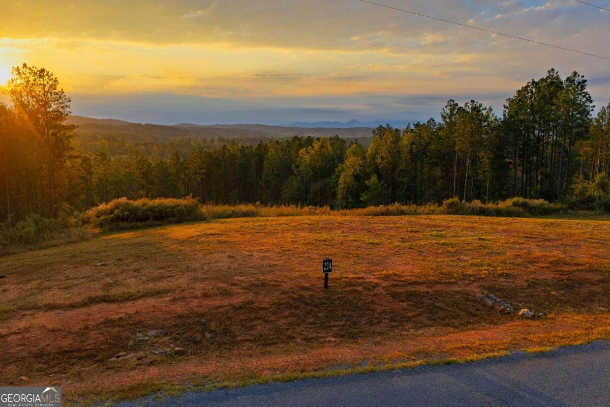 LOT 224 Vista Ridge Parkway - Photo 1