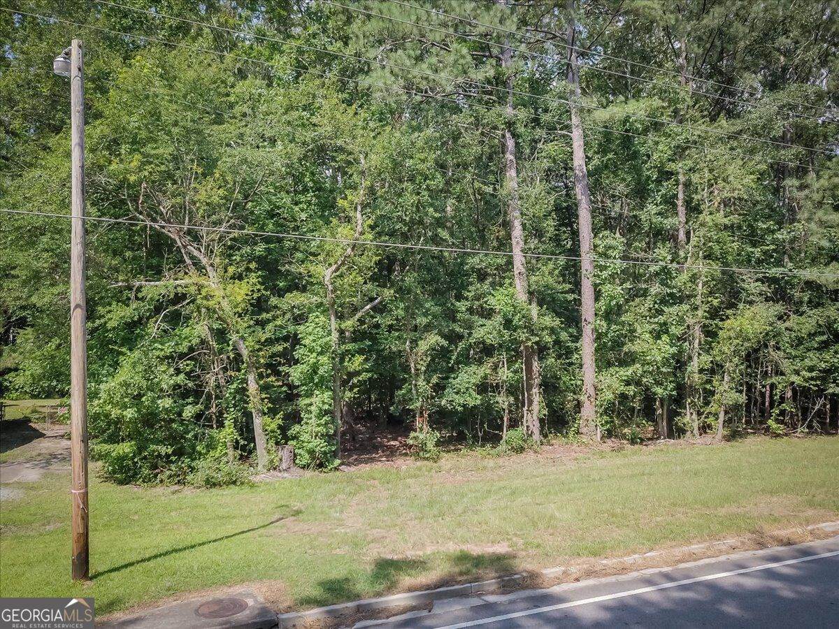 3132 Macedonia Road - Photo 1