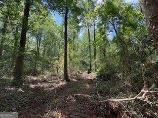 LOT 17 Smith Road - Photo 1