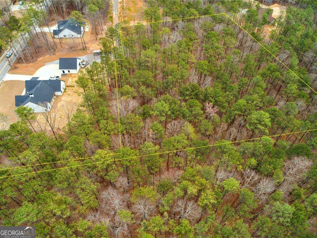 4243 Harmony Grove Church Road - Photo 1