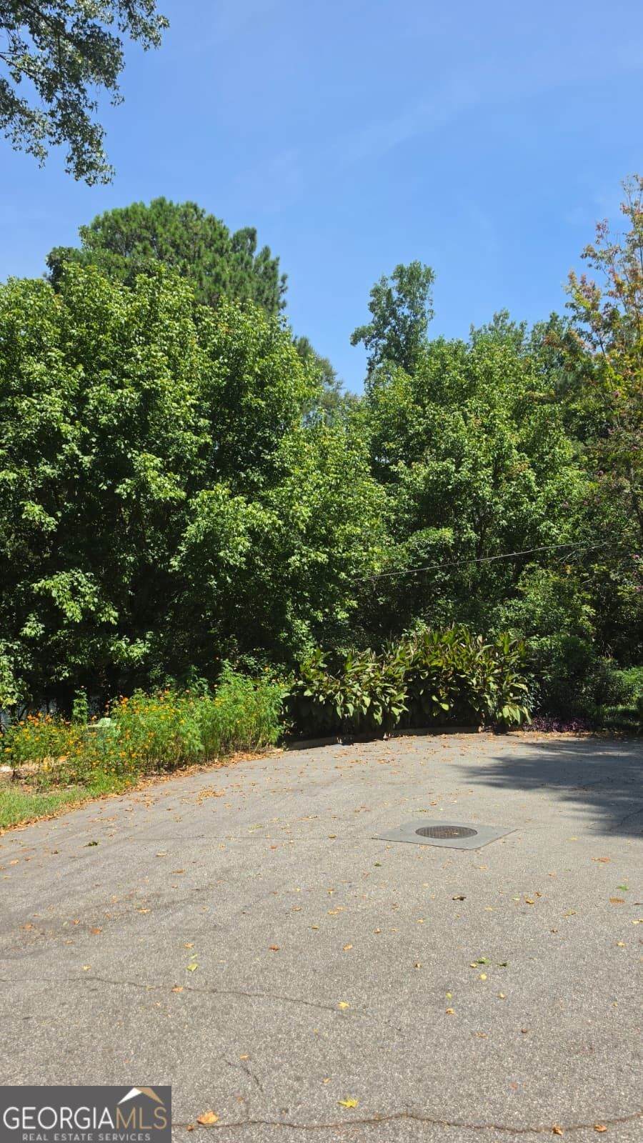 3407 Lawrence Street - Photo 1