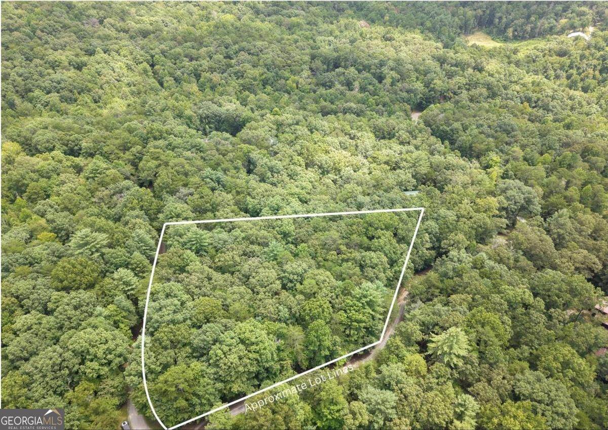LOT 24 Possum Poke Road - Photo 1