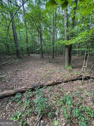 184 Mcbride Road - Photo 1