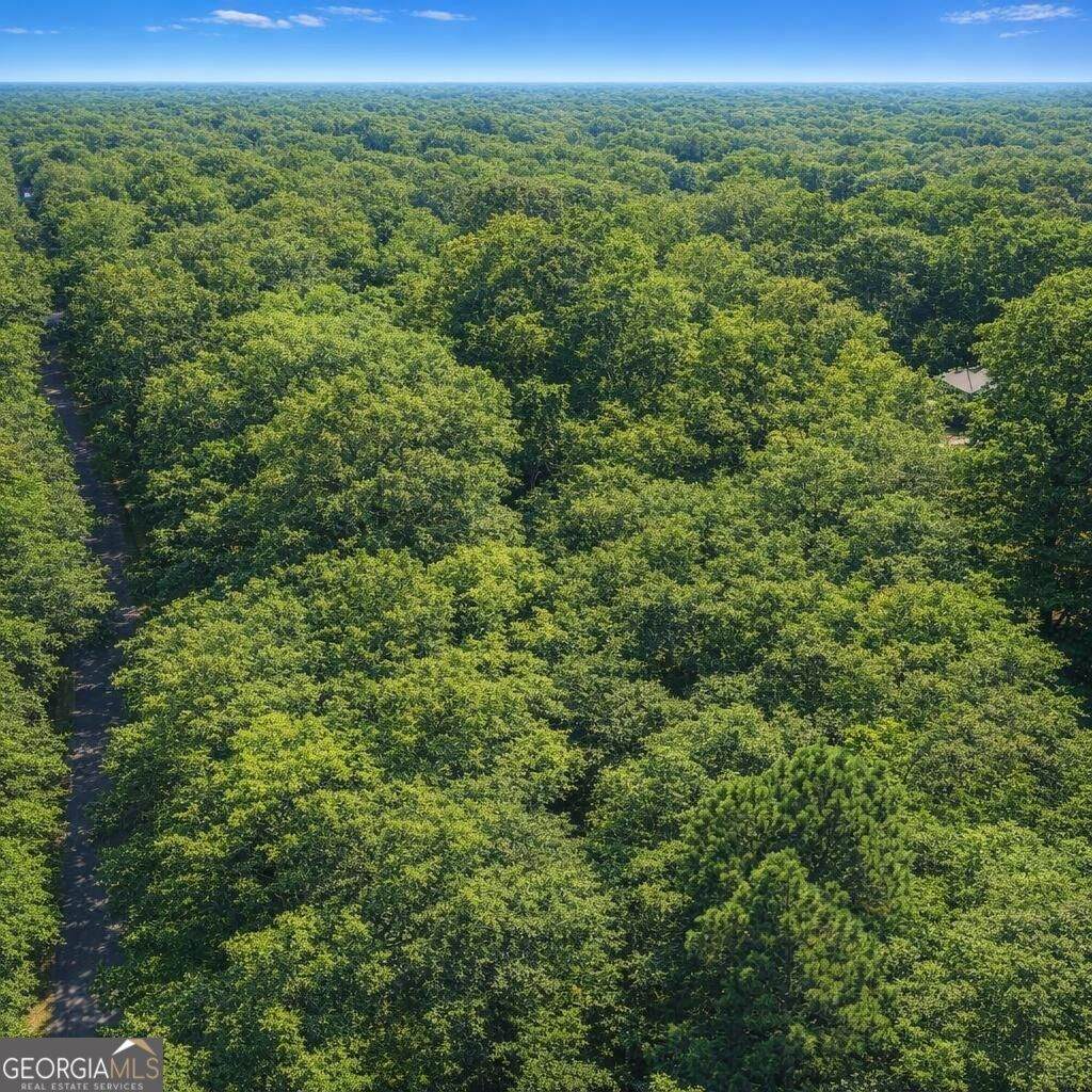 0 Julep Drive - Photo 1