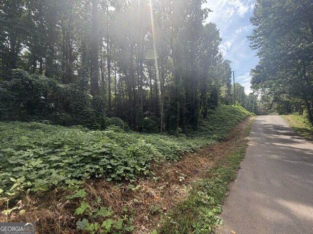 0 Quail Mountain Trail - Photo 1