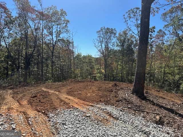 3.71 Yancy Drive - Photo 1