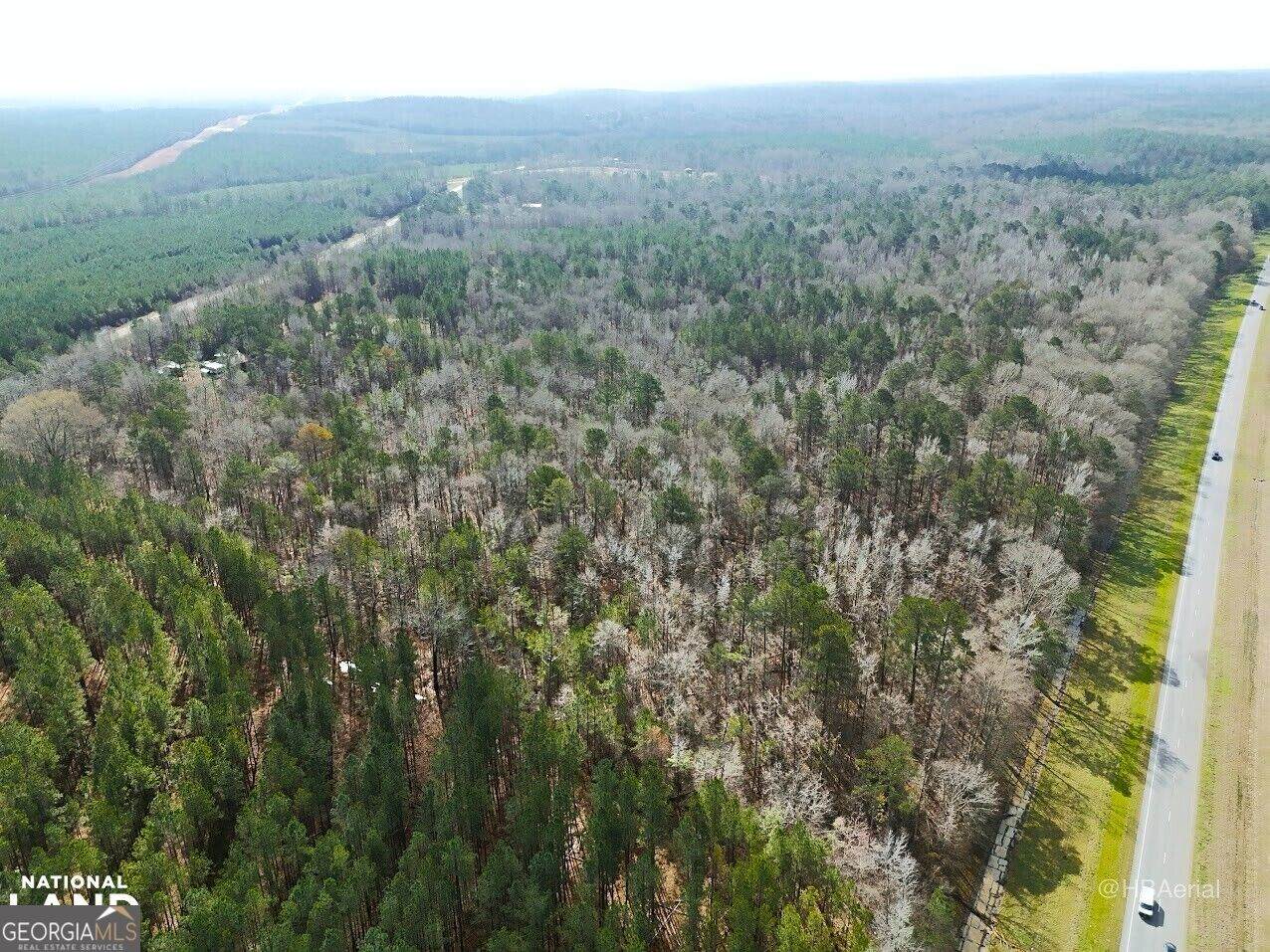 0 Highway 231 - Photo 1