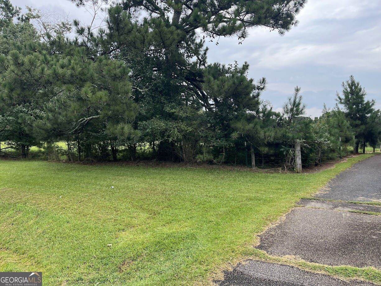 569 Weldon Road - Photo 1
