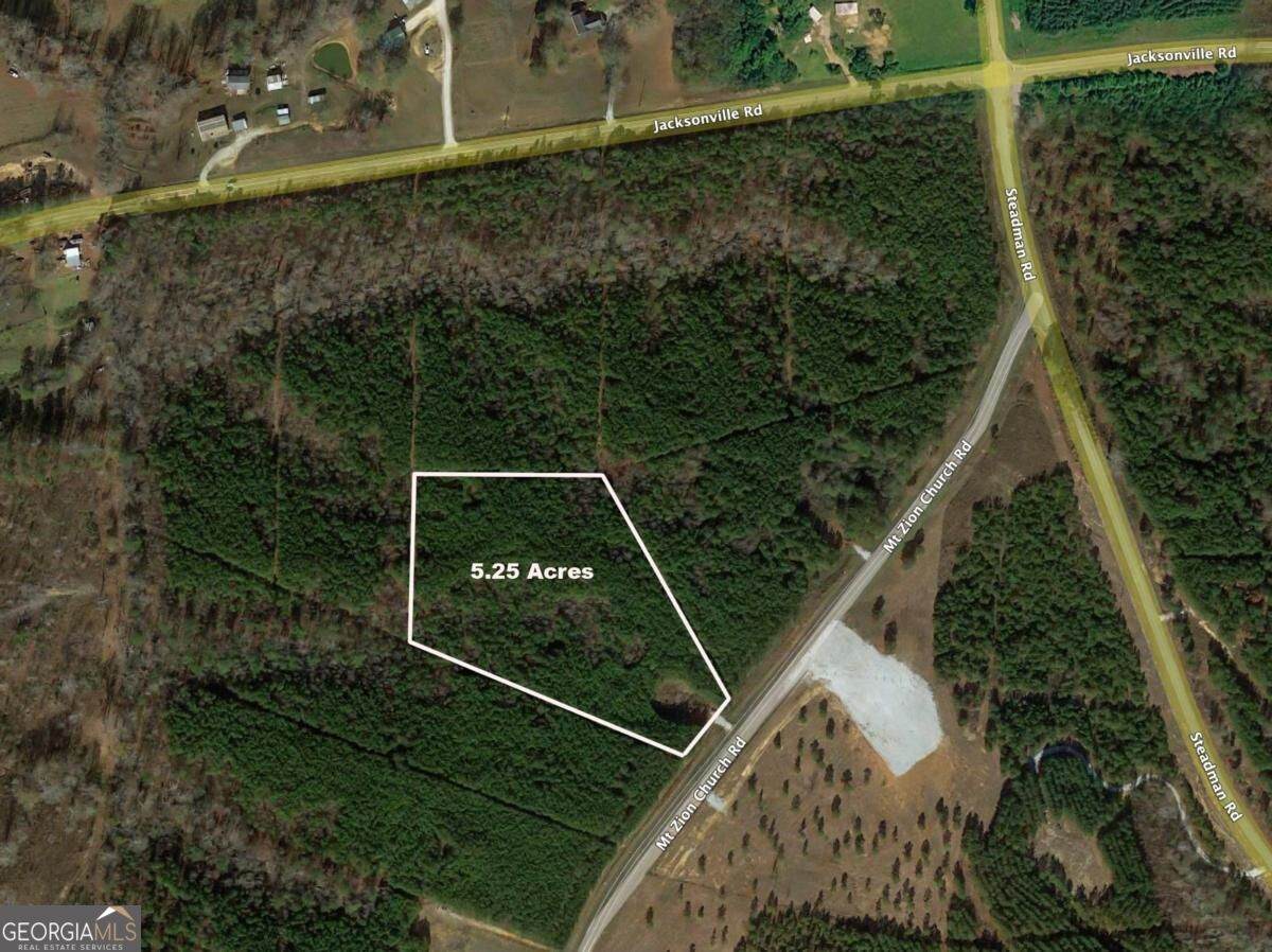 0 Mt. Zion Church Road - Photo 1