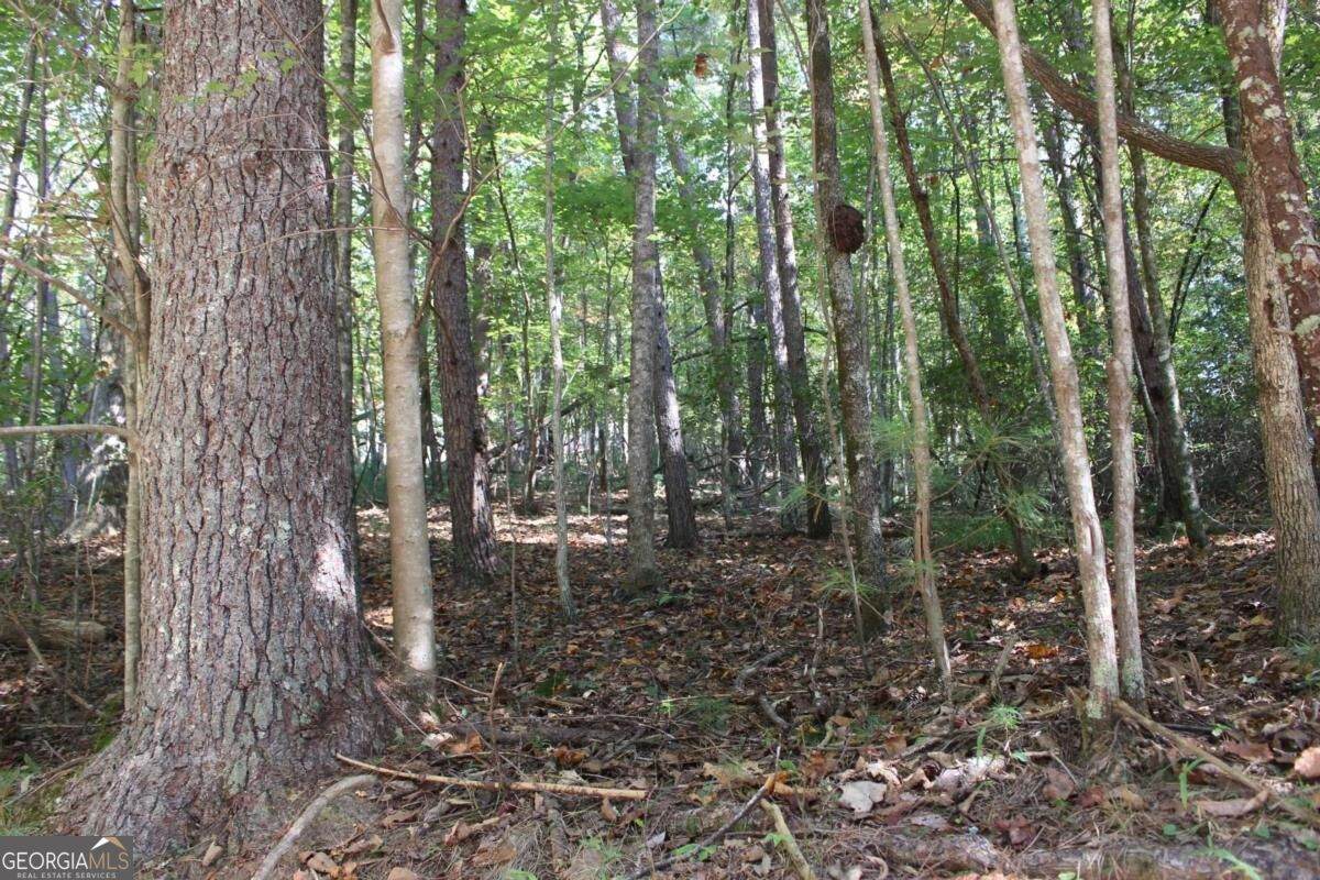 LOT 546 Satsuma North Court - Photo 1