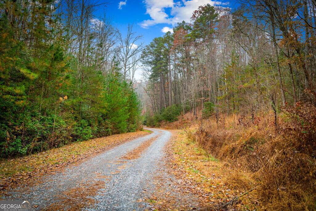 5.97AC Bullen Gap Road - Photo 1