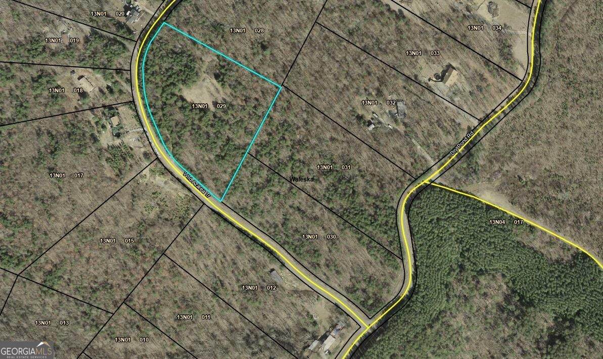 330 Wild Azalea Trail - Photo 1
