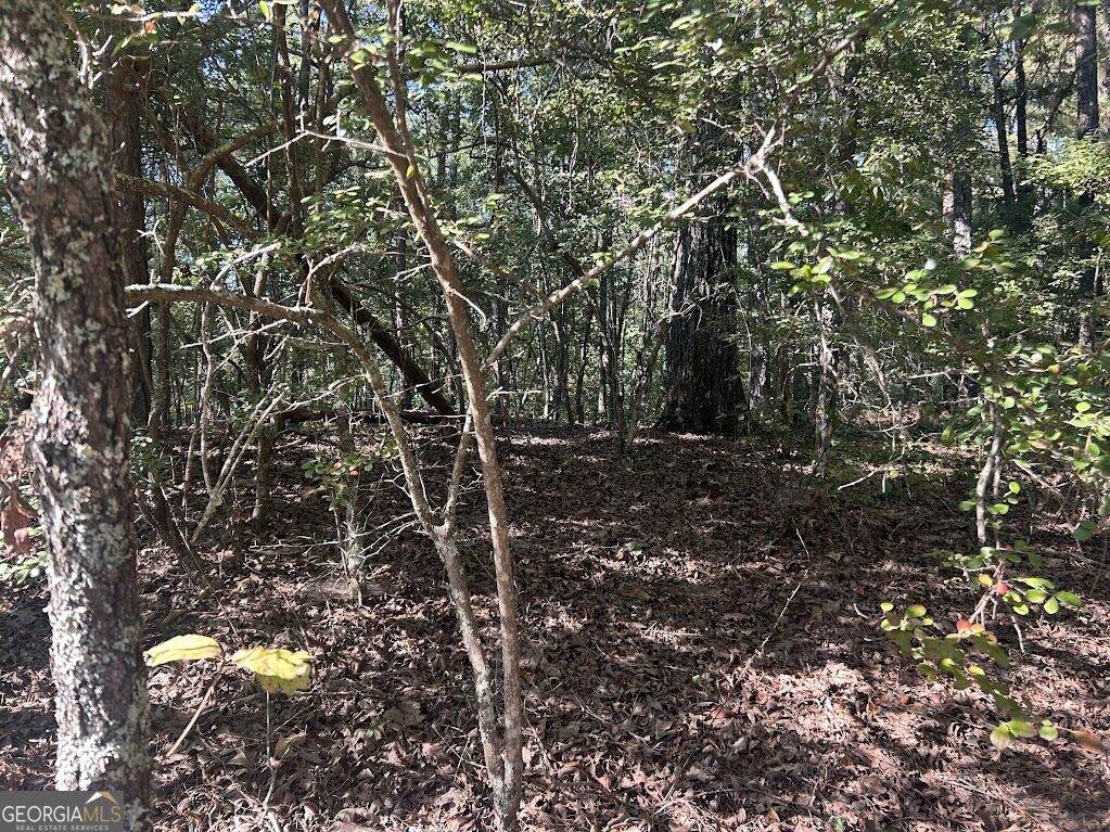 0 Springer Road - Photo 1