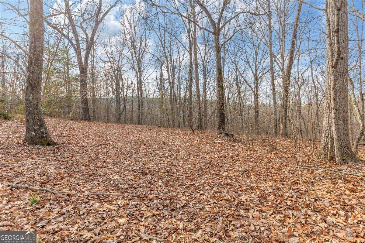 13 ACRES Percheron Drive - Photo 1