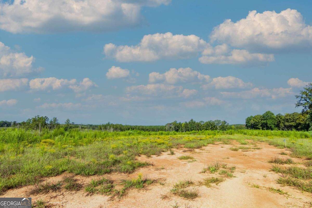 TRACT 5 Carlisle Gap Road - Photo 1